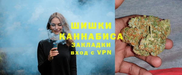 PSILOCYBIN Баксан