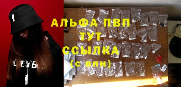 PSILOCYBIN Баксан