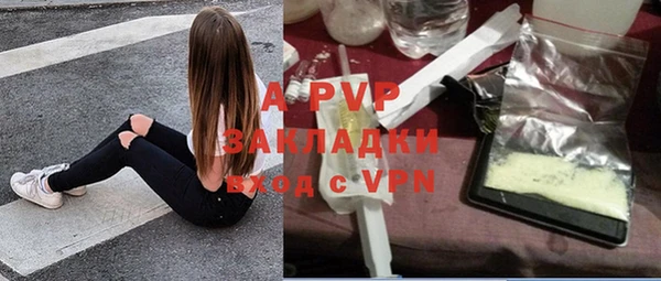 ECSTASY Белокуриха